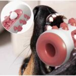 ⁦عظمة لتنظيف اسنان الحيوانات الأليفة (الكلاب والقطط)⁩ - الصورة ⁦3⁩