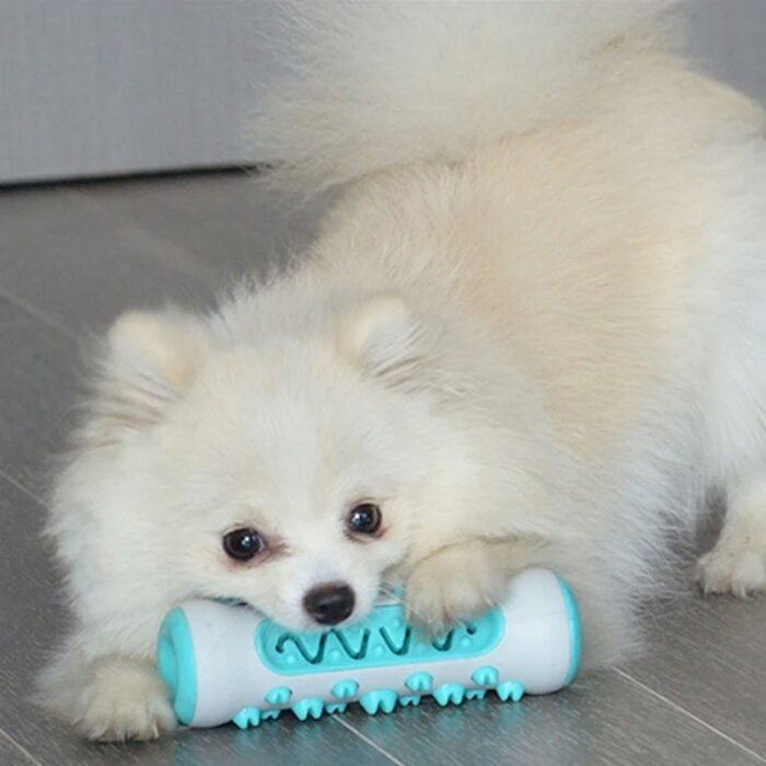 ⁦عظمة لتنظيف اسنان الحيوانات الأليفة (الكلاب والقطط)⁩ - الصورة ⁦11⁩