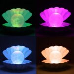 تيبل لاند شكل الصدفه