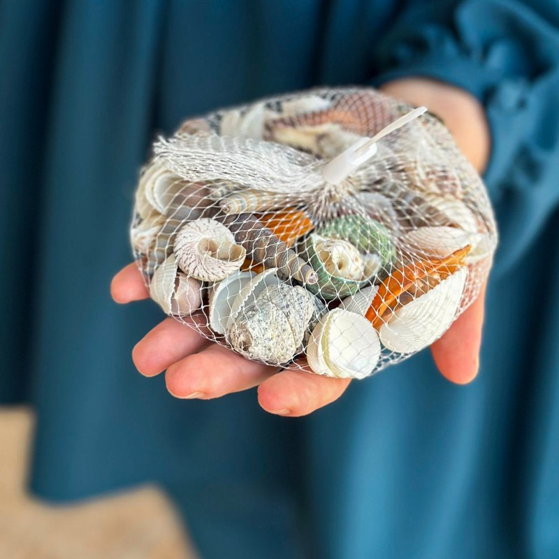 ⁦كيس أحجار زينة على شكل صدف حجم صغير⁩ - الصورة ⁦1⁩