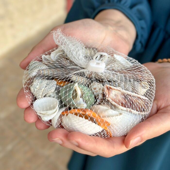 ⁦كيس أحجار زينة على شكل صدف حجم صغير⁩ - الصورة ⁦2⁩