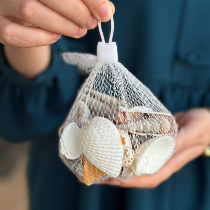 ⁦كيس أحجار زينة على شكل صدف حجم صغير⁩ - الصورة ⁦3⁩