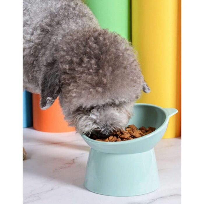 ⁦صحن طعام للحيوانات⁩ - الصورة ⁦8⁩