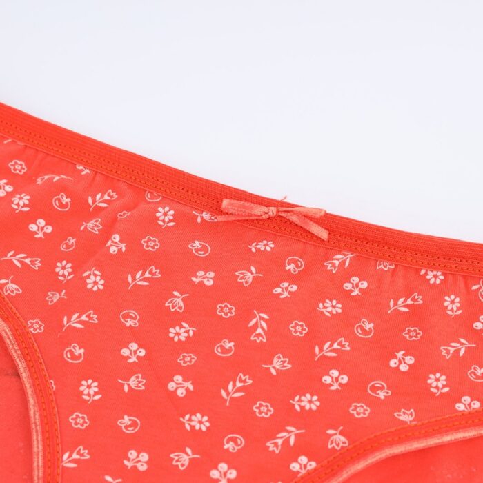 ⁦ملابس داخلية سليب للنساء لون برتقالي مورد لون أبيض⁩ - الصورة ⁦4⁩