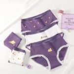 ⁦طقم داخلي خصر عالي (5 قطع) للنساء ألوان مختلفة⁩ - الصورة ⁦3⁩