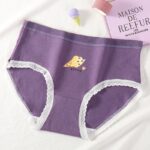 ⁦طقم داخلي خصر عالي (5 قطع) للنساء ألوان مختلفة⁩ - الصورة ⁦4⁩