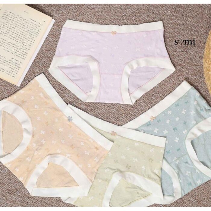 103374705_67dc61b84b433 طقم داخلي قطني (4 قطع) للنساء ألوان مختلفة - الصورة 1