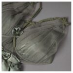 ⁦طقم لانجري قطعتين لون زيتي One Size⁩ - الصورة ⁦4⁩