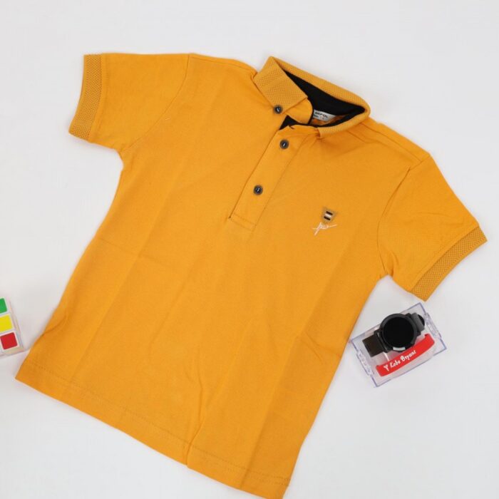 1033752217_67dc6bc76427d بلوزة بولو قبه للأطفال لون اصفر - الصورة 1