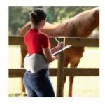 ⁦جهاز مشد الكتروني لمساج أسفل الظهر⁩ - الصورة ⁦3⁩