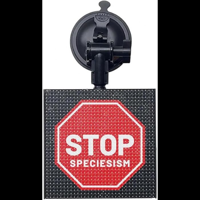 1033754323_67dc793da77b2 شاشة تعبيرية LED للنافذة الخلفية - الصورة 1