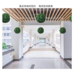 ⁦35cm نبته صناعيه شكل كره  لون اخضر⁩ - الصورة ⁦7⁩