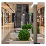 ⁦35cm نبته صناعيه شكل كره  لون اخضر⁩ - الصورة ⁦9⁩