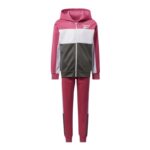Reebok Kids' Logo Hoodie And Leggings 2Pc Set Tracksuit- طقم رياضي ريبوك تود انتل قطعتين للأطفال لون زهري وأبيض ورمادي