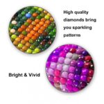 ⁦لوحة تزيين الألماس DIY D5 بتصميم فراشات مقاس 40*30 سم⁩ - الصورة ⁦4⁩