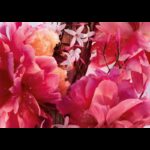 ⁦Miss Dior Perfum By Christian Dior For Women 80ml-عطر ميس ديور بارفيوم من ديور للنساء سعة 80 مل⁩ - الصورة ⁦5⁩