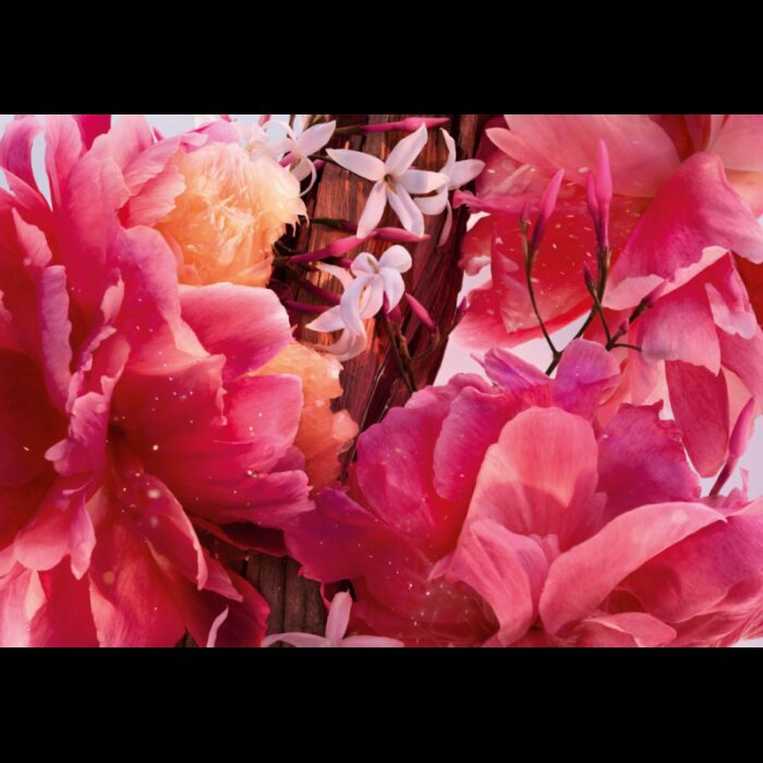 ⁦Miss Dior Perfum By Christian Dior For Women 80ml-عطر ميس ديور بارفيوم من ديور للنساء سعة 80 مل⁩ - الصورة ⁦5⁩