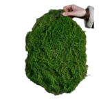 قطعة انجيل لتزيين القوار