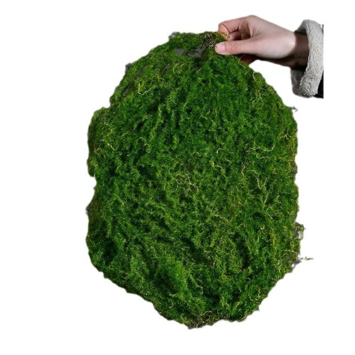 103378418_67de13ba2d618 قطعة انجيل لتزيين القوار - الصورة 1