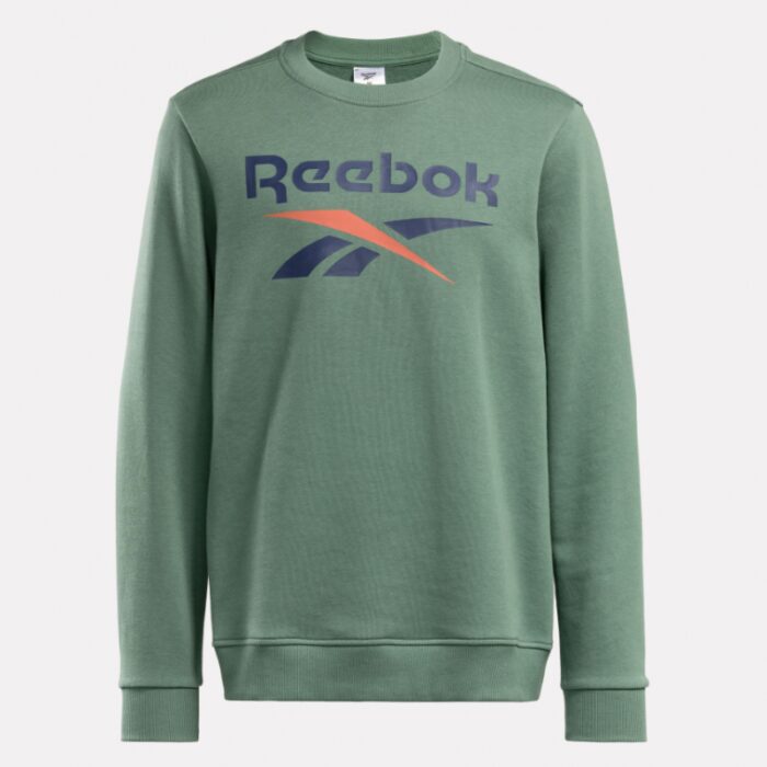 ⁦Reebok Mens' Identity Big Logo Sweatshirt-Green⁩ - الصورة ⁦5⁩