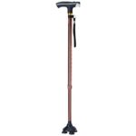 Flamingo Classic Walking Stick with Torch