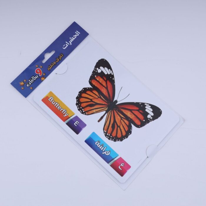 10330166_67fac567061ba بطاقات تعريفية تعليمية للأطفال بعنوان (الحشرات) مكونة من 9 بطاقات - الصورة 1
