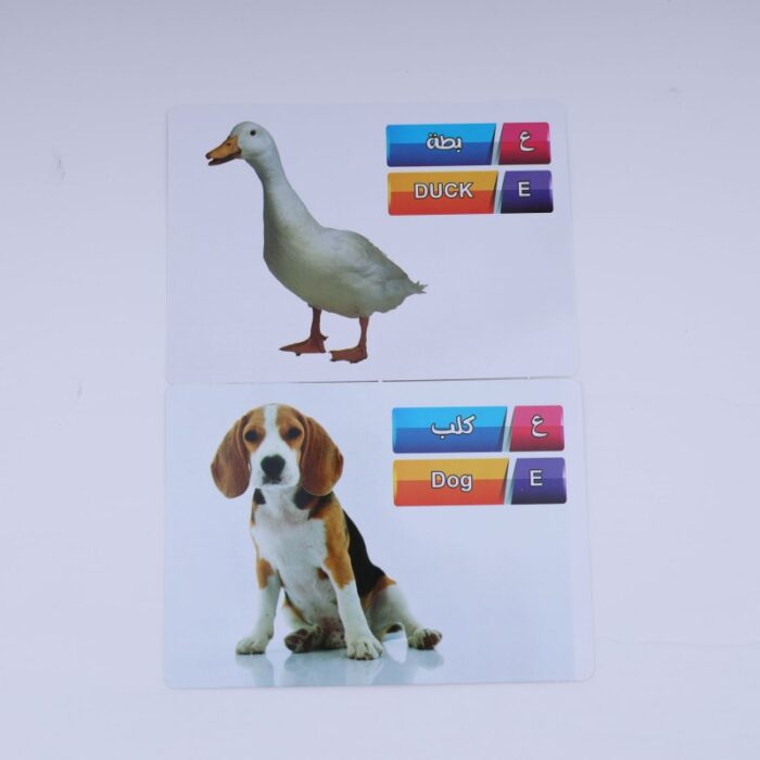 ⁦بطاقات تعريفية تعليمية للأطفال بعنوان (حيوانات المزرعة) مكونة من 9 بطاقات⁩ - الصورة ⁦2⁩
