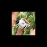 ⁦مجهر مختبر لطلاب المدارس محمول باليد ويعمل بالبطارية مع ضوء LED نسبة تكبير تبلغ من 60 120 يوفر هذا المجهر صورا واضحة ومفصلة للأشياء الصغيرة⁩ - الصورة ⁦5⁩