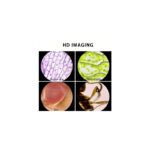 ⁦مجهر مختبر لطلاب المدارس محمول باليد ويعمل بالبطارية مع ضوء LED نسبة تكبير تبلغ من 60 120 يوفر هذا المجهر صورا واضحة ومفصلة للأشياء الصغيرة⁩ - الصورة ⁦9⁩