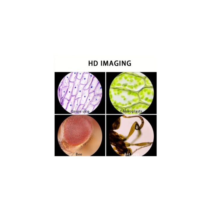 ⁦مجهر مختبر لطلاب المدارس محمول باليد ويعمل بالبطارية مع ضوء LED نسبة تكبير تبلغ من 60 120 يوفر هذا المجهر صورا واضحة ومفصلة للأشياء الصغيرة⁩ - الصورة ⁦9⁩