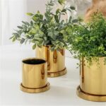 ⁦طقم قوار ورد بورسلان فاخر 3 قطع سادة لون ذهبي⁩ - الصورة ⁦3⁩