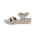 ⁦بابوج ستاتي طبي⁩ - الصورة ⁦4⁩