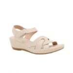 ⁦بابوج ستاتي طبي⁩ - الصورة ⁦2⁩