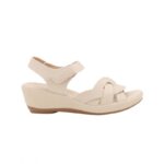 ⁦بابوج ستاتي طبي⁩ - الصورة ⁦3⁩