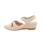 ⁦بابوج ستاتي طبي⁩ - الصورة ⁦4⁩