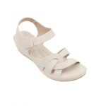 ⁦بابوج ستاتي طبي⁩ - الصورة ⁦5⁩