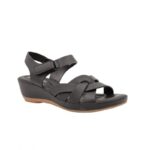 ⁦بابوج ستاتي طبي⁩ - الصورة ⁦2⁩