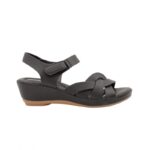 ⁦بابوج ستاتي طبي⁩ - الصورة ⁦3⁩