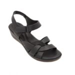 ⁦بابوج ستاتي طبي⁩ - الصورة ⁦6⁩