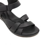 ⁦بابوج ستاتي طبي⁩ - الصورة ⁦7⁩