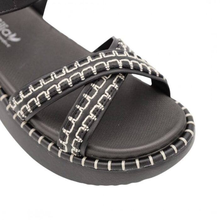 ⁦بابوج ستاتي طبي⁩ - الصورة ⁦7⁩