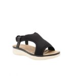 ⁦بابوج ستاتي طبي⁩ - الصورة ⁦2⁩