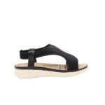 ⁦بابوج ستاتي طبي⁩ - الصورة ⁦3⁩