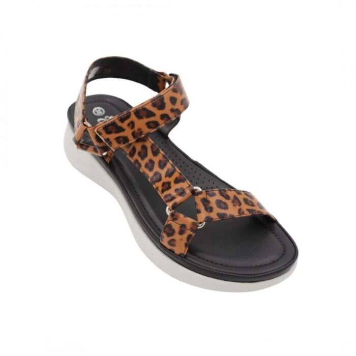 ⁦بابوج ستاتي طبي⁩ - الصورة ⁦4⁩