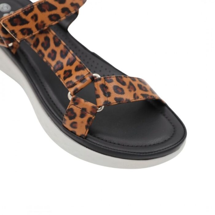 ⁦بابوج ستاتي طبي⁩ - الصورة ⁦5⁩