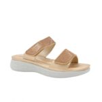 ⁦بابوج ستاتي طبي⁩ - الصورة ⁦2⁩