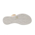 ⁦بابوج ستاتي طبي⁩ - الصورة ⁦5⁩