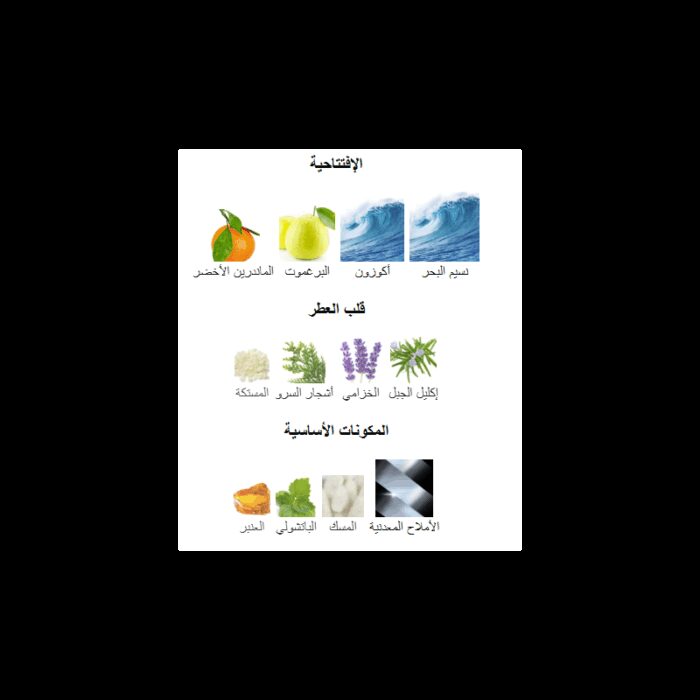 ⁦Acqua di Gio Profondo EDP By Giorgio Armani For Men 100 ML-عطر أكوا دي جيو بورفوندو من جورجيو أرماني للرجال سعة 100 مل⁩ - الصورة ⁦3⁩