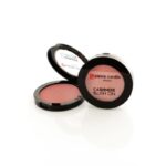 ⁦pierre cardin paris cashmere blush on 357 rosy plum - أحمر خدود درجة 357 rosy Plum⁩ - الصورة ⁦3⁩