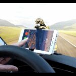 ⁦smart phone car safety support - حامل هاتف للسيارة لون ذهبي⁩ - الصورة ⁦2⁩